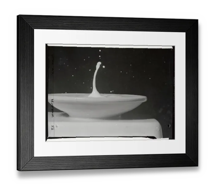 Framed Print : Drop in Milk Saucer Framed Print : Drop in Milk Saucer