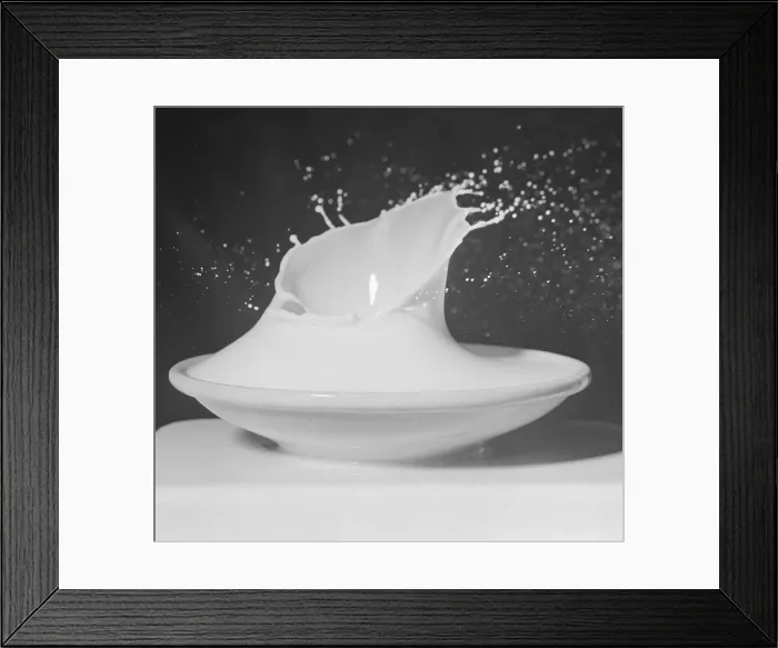 Framed Print : Drop in Milk Saucer