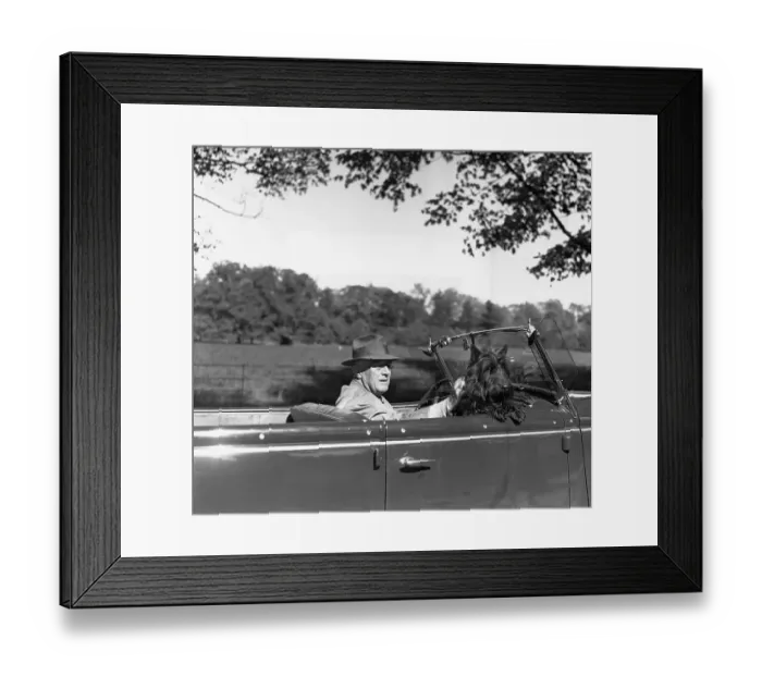 Framed Print : President Roosevelt Driving with Dog Framed Print : President Roosevelt Driving with Dog