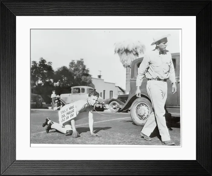 Framed Print : Man on a Leash After Losing Election Bet Framed Print : Man on a Leash After Losing Election Bet