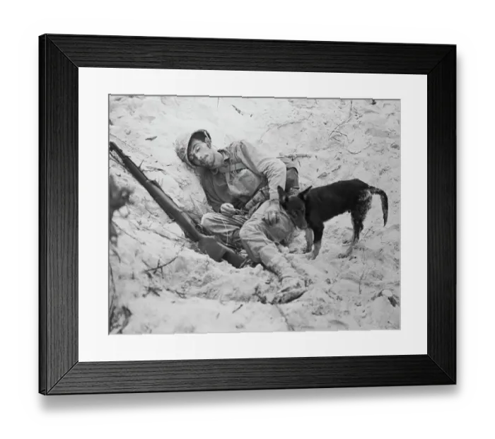 Framed Print : Sleeping Soldier with Dog Standing Guard Framed Print : Sleeping Soldier with Dog Standing Guard