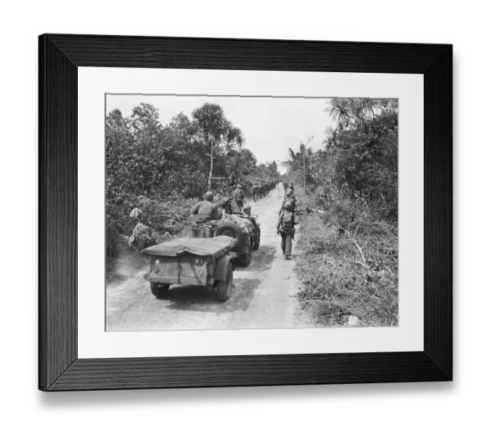 Framed Print : Army Division Marches Through Jungle Framed Print : Army Division Marches Through Jungle