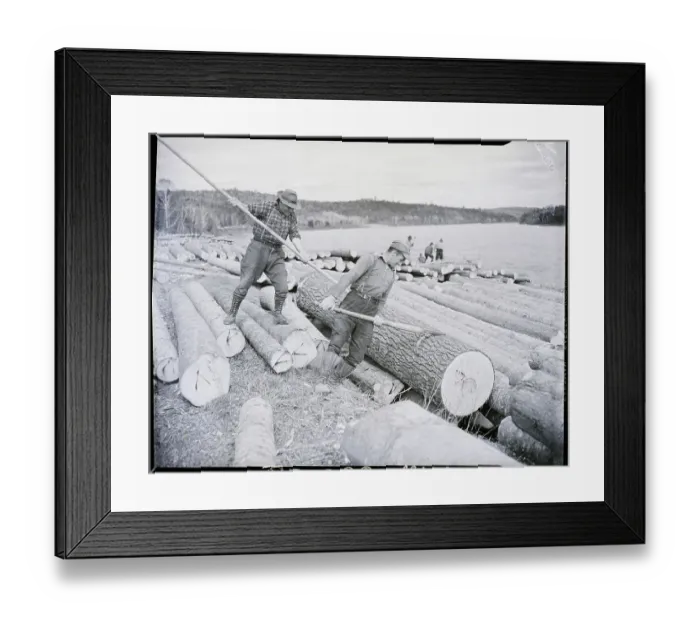 Framed Print : Two Lumberjacks Roll Logs Into River Framed Print : Two Lumberjacks Roll Logs Into River