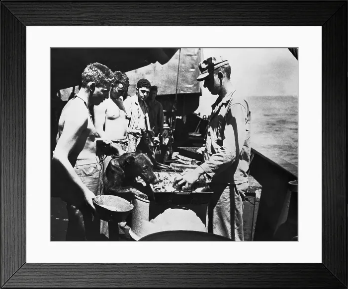 Framed Print : Soldiers Feeding Dogs Framed Print : Soldiers Feeding Dogs