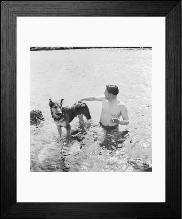 Framed Print : Politician Josip Broz Tito in Water With His Dog Framed Print : Politician Josip Broz Tito in Water With His Dog
