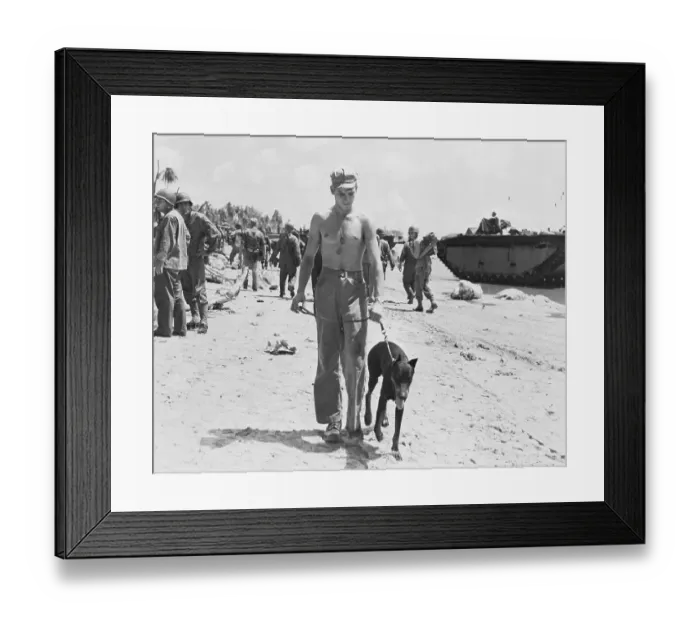 Framed Print : Morris H. Cato Walking Dog Framed Print : Morris H. Cato Walking Dog