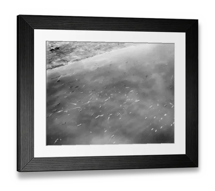 Framed Print : Ships Going To Normandy Invasion Framed Print : Ships Going To Normandy Invasion