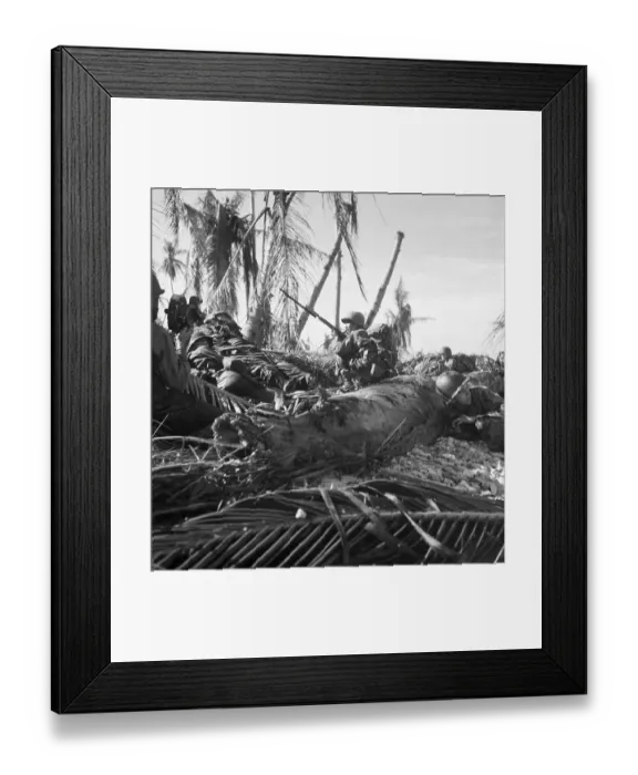 Framed Print : Troops Advance Through Cocoanut Tree Framed Print : Troops Advance Through Cocoanut Tree