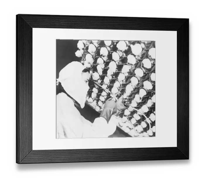 Framed Print : Woman Growing Penicillin