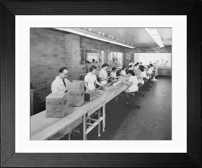 Framed Print : Penicillin Being Mass Produced