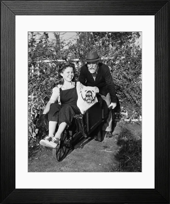 Framed Print : Old Man Pushes Dog, S.Temple From Garden Framed Print : Old Man Pushes Dog, S.Temple From Garden
