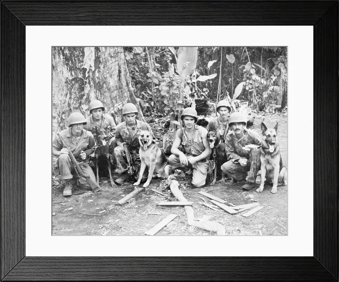 Framed Print : Soldiers and Dogs Posing Framed Print : Soldiers and Dogs Posing