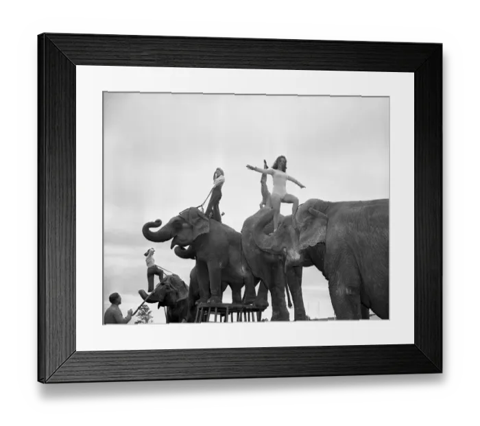 Framed Print : Can Spring be Far Behind? Framed Print : Can Spring be Far Behind?
