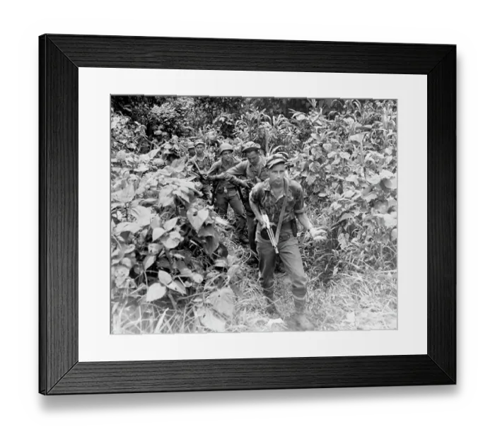 Framed Print : Weapon Carrying American Marines Camouflaged by Jungle Framed Print : Weapon Carrying American Marines Camouflaged by Jungle