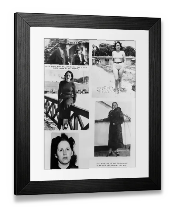 Framed Print : Duquesne Spy Lily Stein