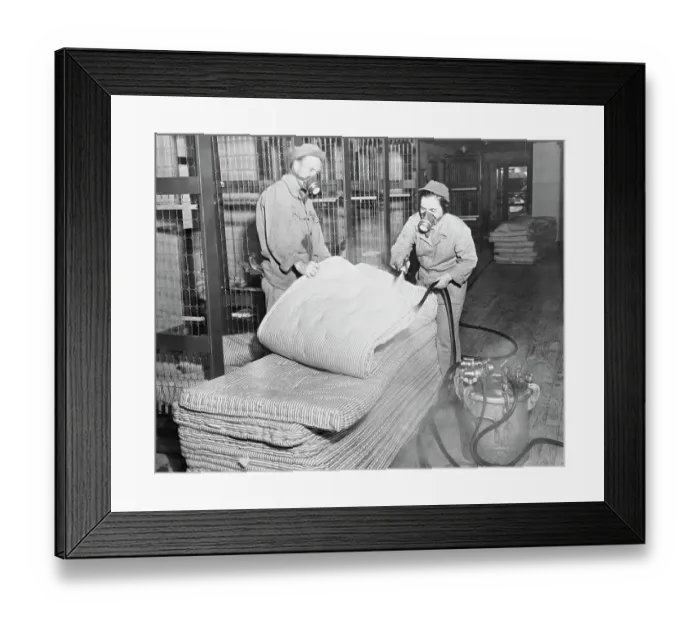 Framed Print : Workers Disinfecting Mattresses Framed Print : Workers Disinfecting Mattresses