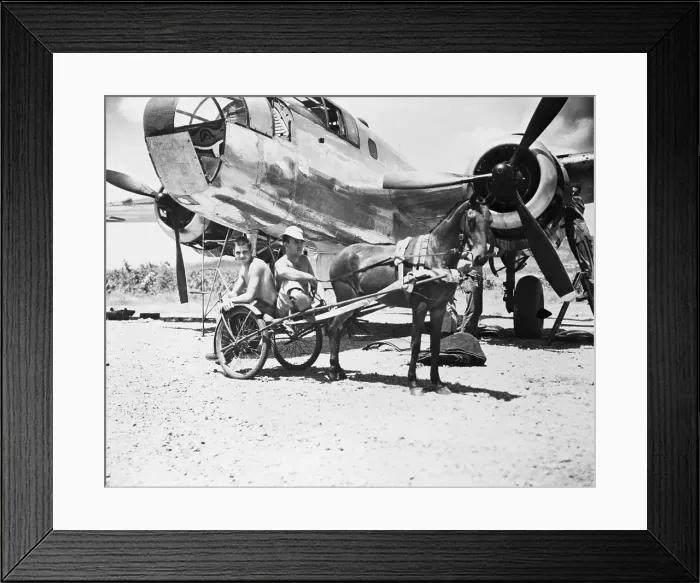 Framed Print : B-25 Bomber and Horse-drawn Transport Framed Print : B-25 Bomber and Horse-drawn Transport