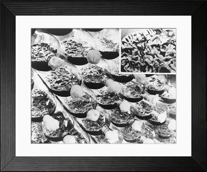 Framed Print : Bottles Of Penicillin Culture Framed Print : Bottles Of Penicillin Culture