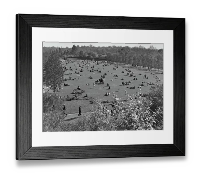 Framed Print : Brooklyn Springtime Framed Print : Brooklyn Springtime