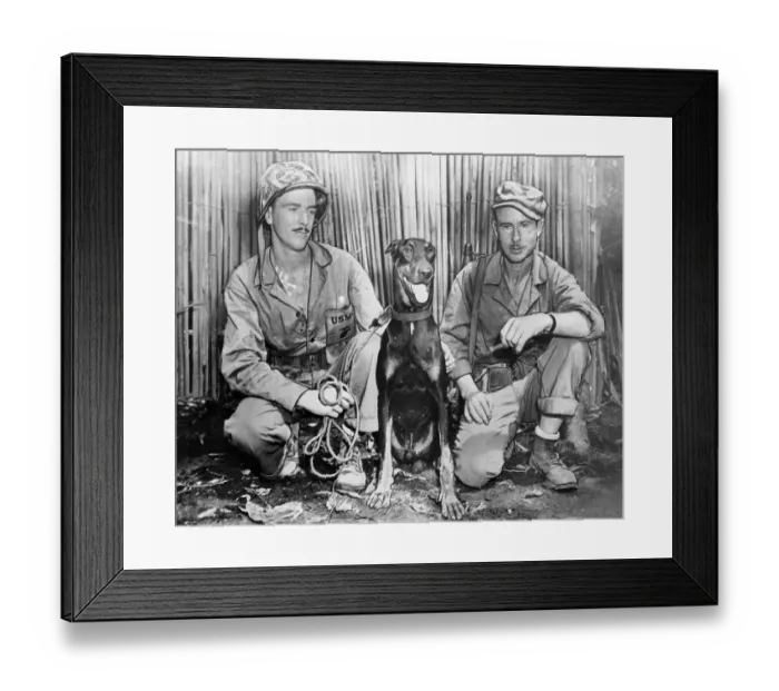 Framed Print : Portrait of Soldiers with Dog