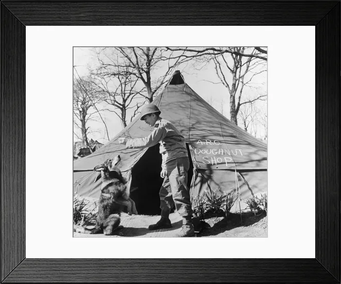 Framed Print : Soldier with War Dog Outside Tent Framed Print : Soldier with War Dog Outside Tent