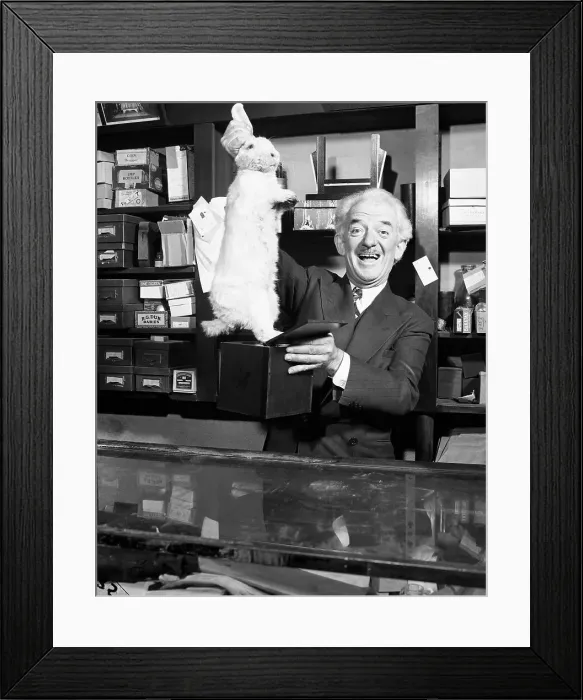 Framed Print : Blackstone Pulls Rabbit From Box Framed Print : Blackstone Pulls Rabbit From Box