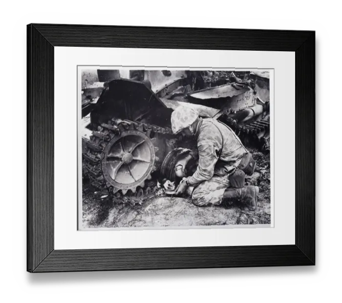 Framed Print : Camouflaged Marine Shares Water With Cat Framed Print : Camouflaged Marine Shares Water With Cat