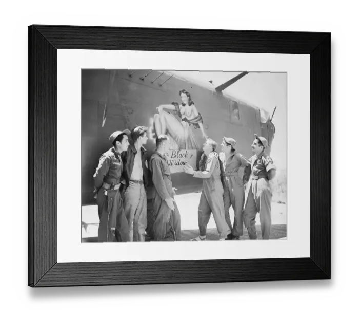 Framed Print : The Black Widow Framed Print : The Black Widow