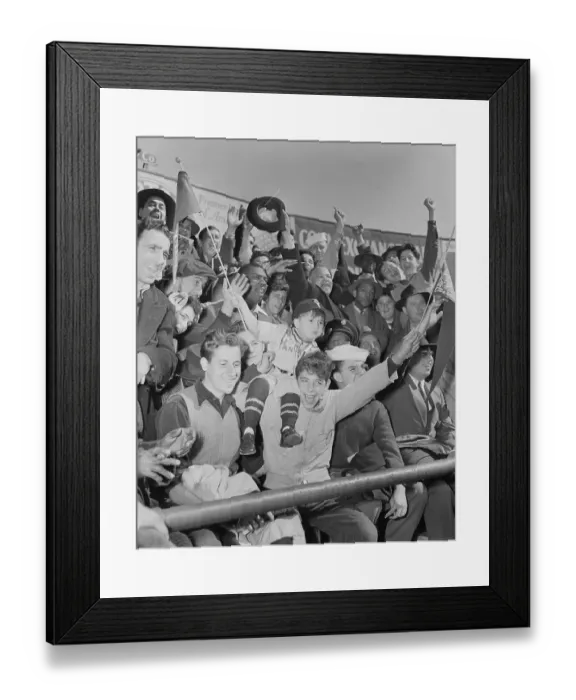 Framed Print : Crowd Cheering at Ballgame Framed Print : Crowd Cheering at Ballgame