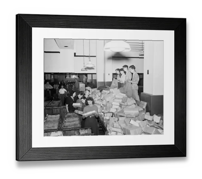 Framed Print : Post Office Employees Sort Packages Framed Print : Post Office Employees Sort Packages