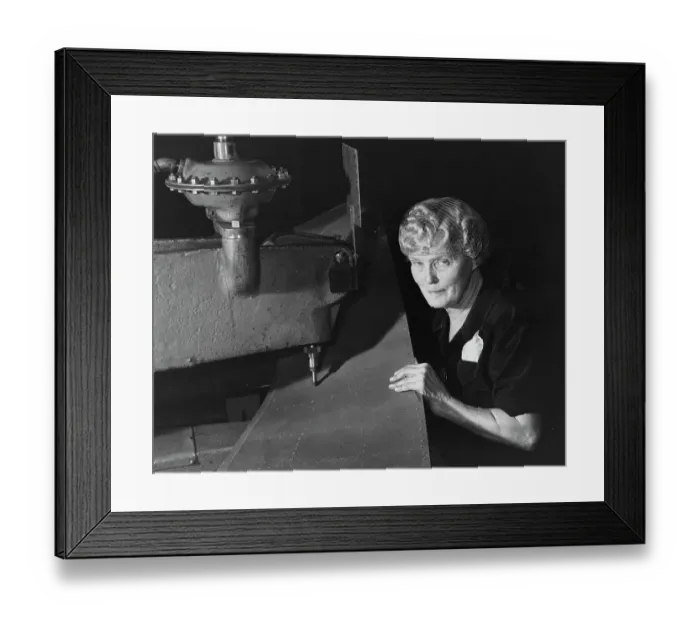 Framed Print : Tames Rivets Instead of Lions