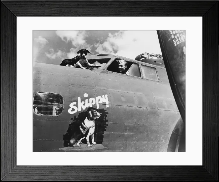 Framed Print : Skippy the Unofficial Crew Member of a Flying Fortress Framed Print : Skippy the Unofficial Crew Member of a Flying Fortress