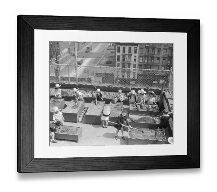 Framed Print : Children Gardening on Building Rooftop Framed Print : Children Gardening on Building Rooftop