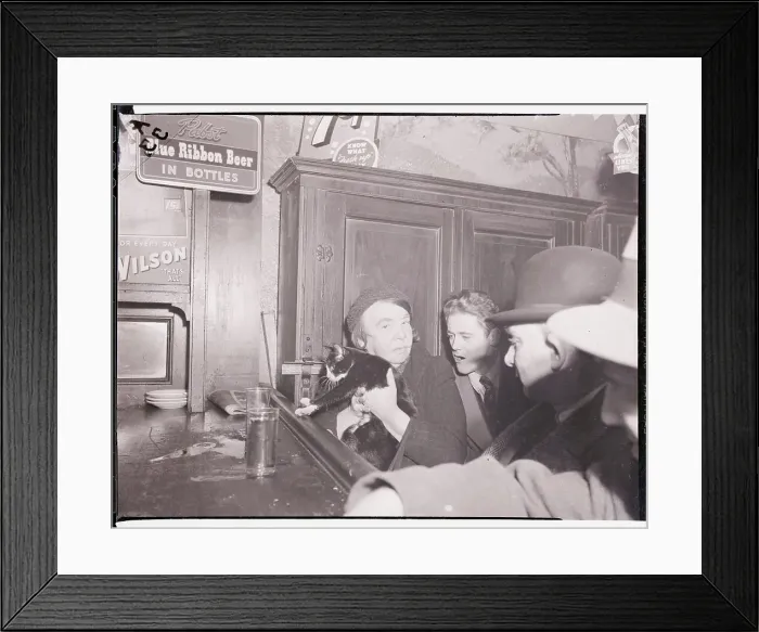 Framed Print : Woman Holding Cat Inside Bar Framed Print : Woman Holding Cat Inside Bar