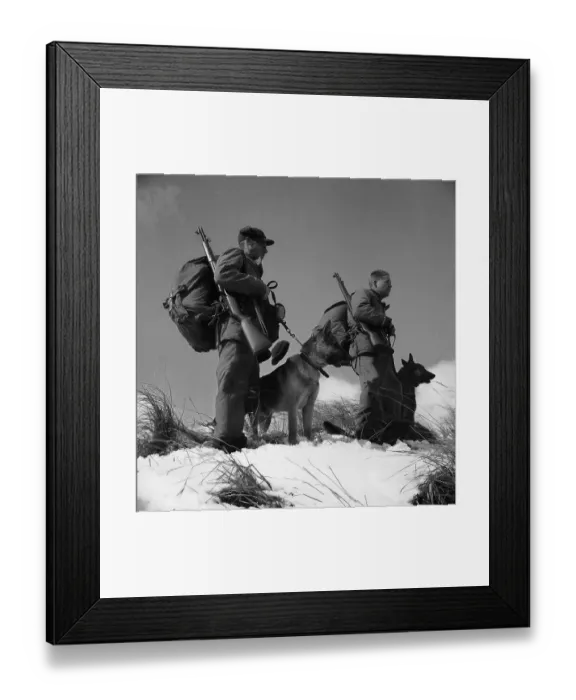 Framed Print : Army Soldiers with Trained Dogs Framed Print : Army Soldiers with Trained Dogs