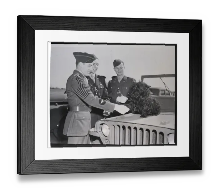 Framed Print : Soldiers And The Presidents Dog Framed Print : Soldiers And The Presidents Dog