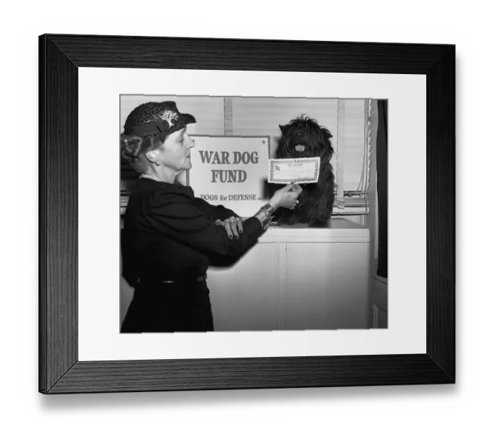 Framed Print : Fala Enlists in War Dog Fund Framed Print : Fala Enlists in War Dog Fund