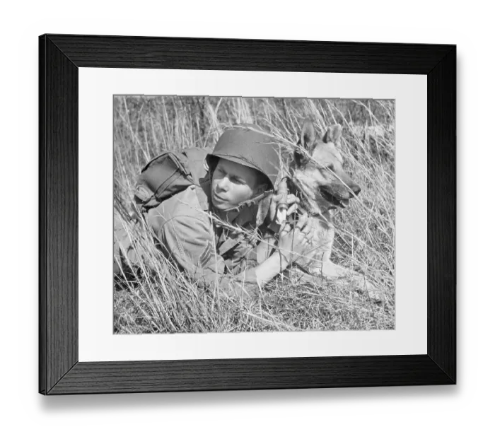 Framed Print : Soldier and Trained Dog Lying in Grass Framed Print : Soldier and Trained Dog Lying in Grass