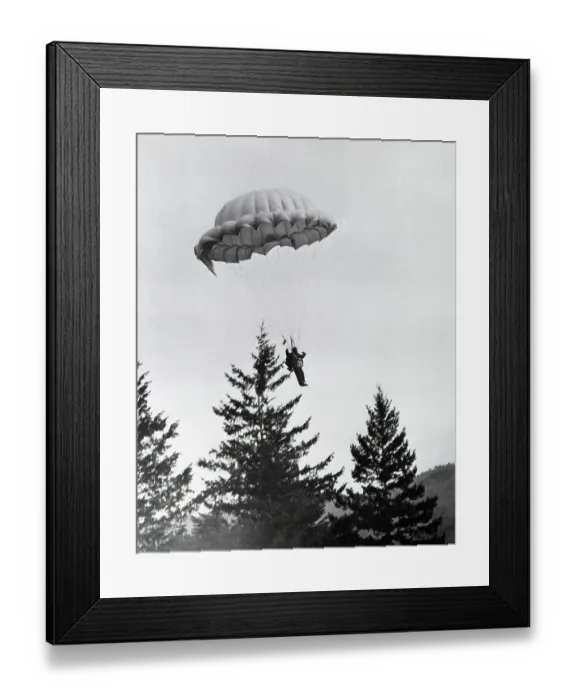 Framed Print : Paratrooper of the Forest Front Framed Print : Paratrooper of the Forest Front
