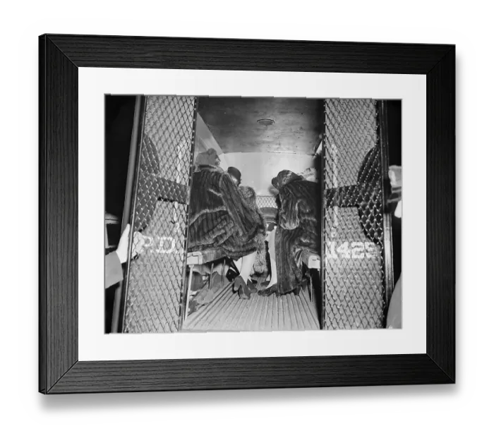 Framed Print : Women in Fur Coats in Police Van Framed Print : Women in Fur Coats in Police Van