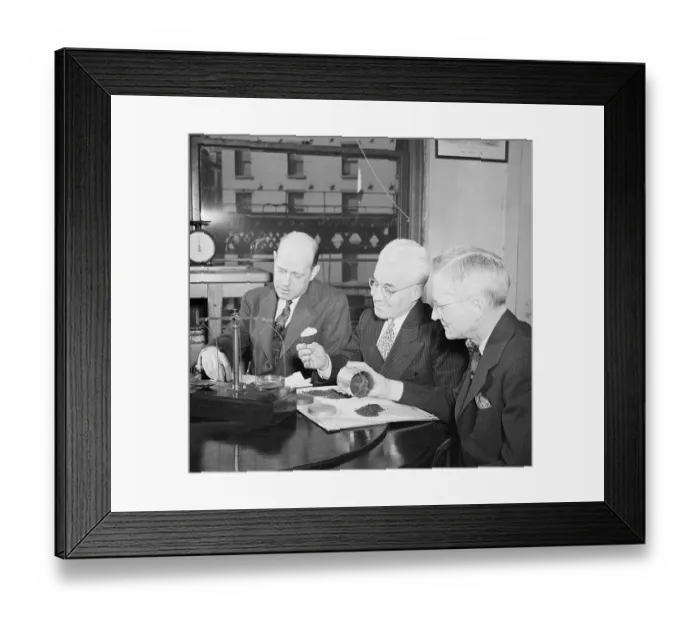 Framed Print : Government Workers Examining Tea Framed Print : Government Workers Examining Tea