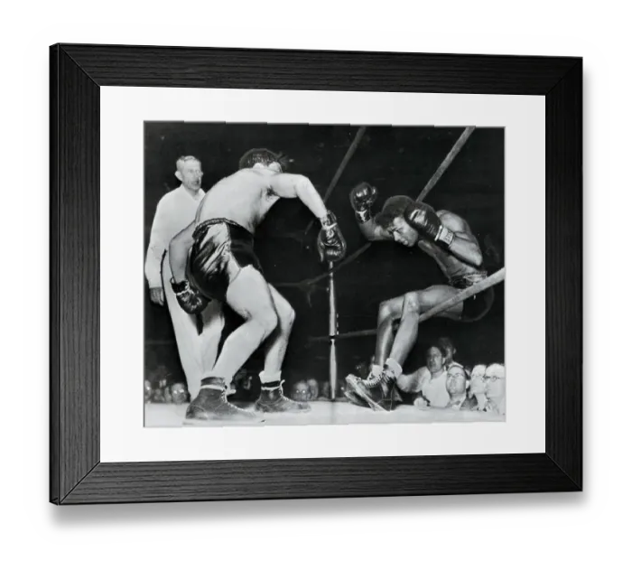 Framed Print : Boxers in Action Framed Print : Boxers in Action