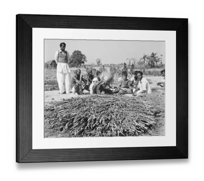 Framed Print : Hashish Farm Workers On A Smoke Break Framed Print : Hashish Farm Workers On A Smoke Break