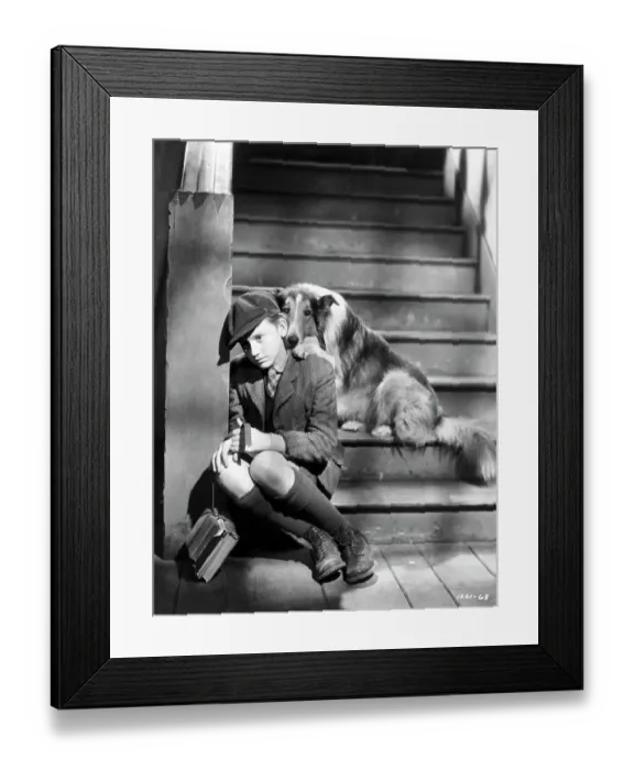 Framed Print : Roddy Mcdowall With His Beloved Lassie Framed Print : Roddy Mcdowall With His Beloved Lassie
