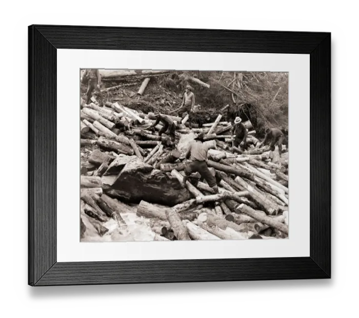 Framed Print : Lumberjacks Clean Up Log Jam on Stream Framed Print : Lumberjacks Clean Up Log Jam on Stream
