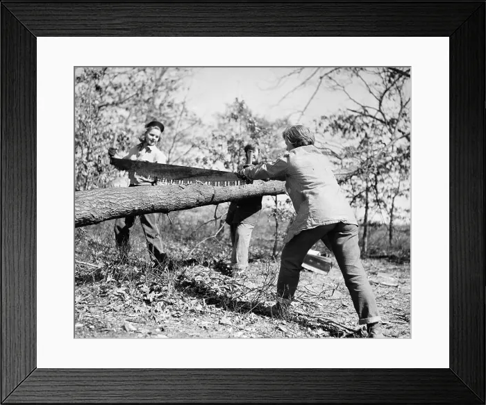 Framed Print : Girls Longsaw Fallen Tree in Woods Framed Print : Girls Longsaw Fallen Tree in Woods
