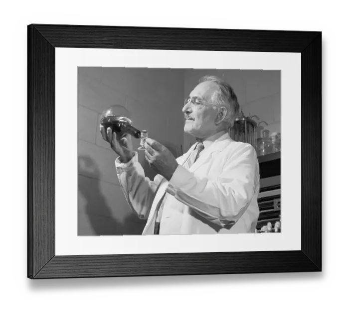 Framed Print : Selman Waksman Working in Laboratory Framed Print : Selman Waksman Working in Laboratory