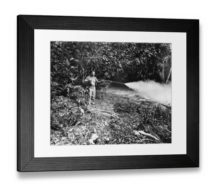 Framed Print : Spraying Oil on a Swamp on Guadalcanal Framed Print : Spraying Oil on a Swamp on Guadalcanal