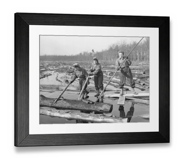Framed Print : Working at the Sawmill
