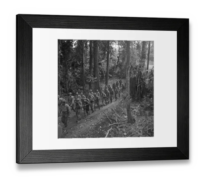 Framed Print : Jockeying for Position Framed Print : Jockeying for Position